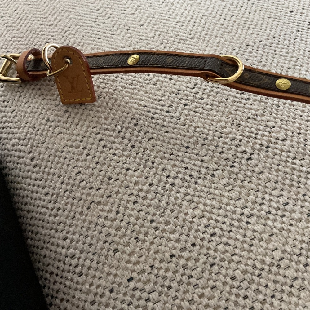 Louis Vuitton dog collar